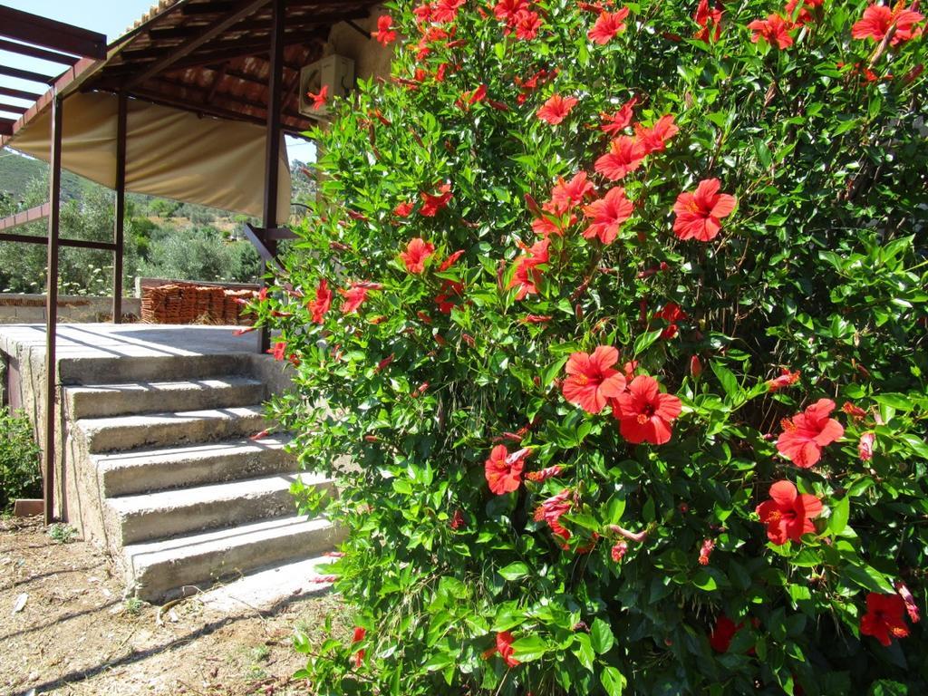 Countryside House Guest House Perachora Exterior foto
